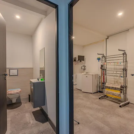 De Luxe 4* Avec Piscine Chauffee, Wifi Et Garage A - 10 Pers. Non-fumeur - Fr-1-521-236 Σπίτι διακοπών Biscarrosse